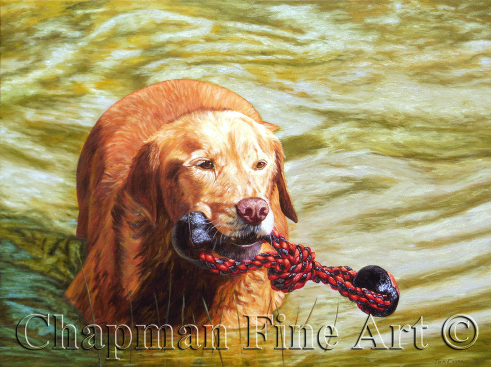 Getting a Custom Pet Portrait Painted in Oil - What to Know Before You Commission One