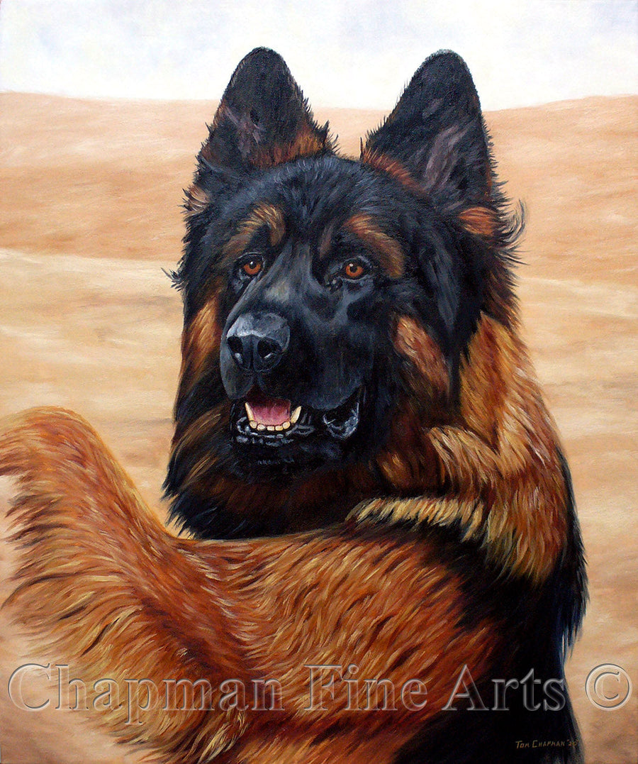 Custom Commissioned Horse Paintings and Pet Portraits by Tom.