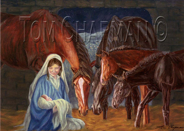 A Son in Our Stable - Christmas card, box of 10