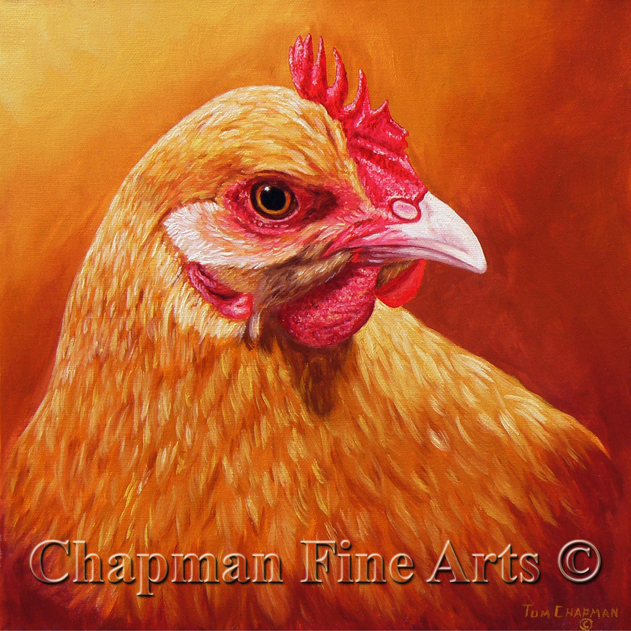 Buffy, Buff Orpington Hen
