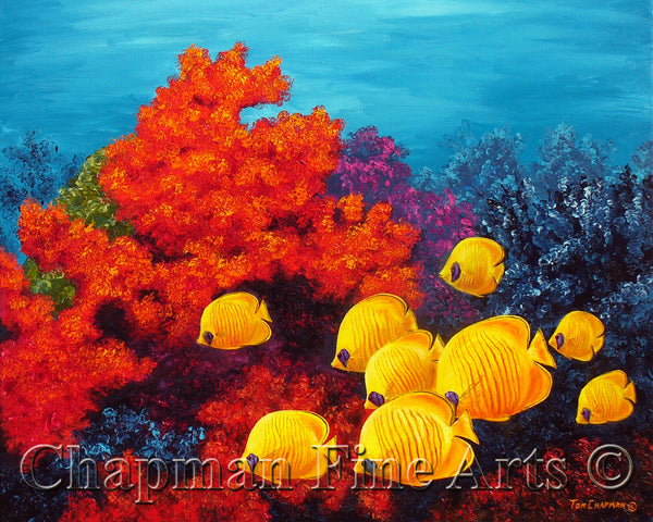 Butterfly Fish and Coral Reef
