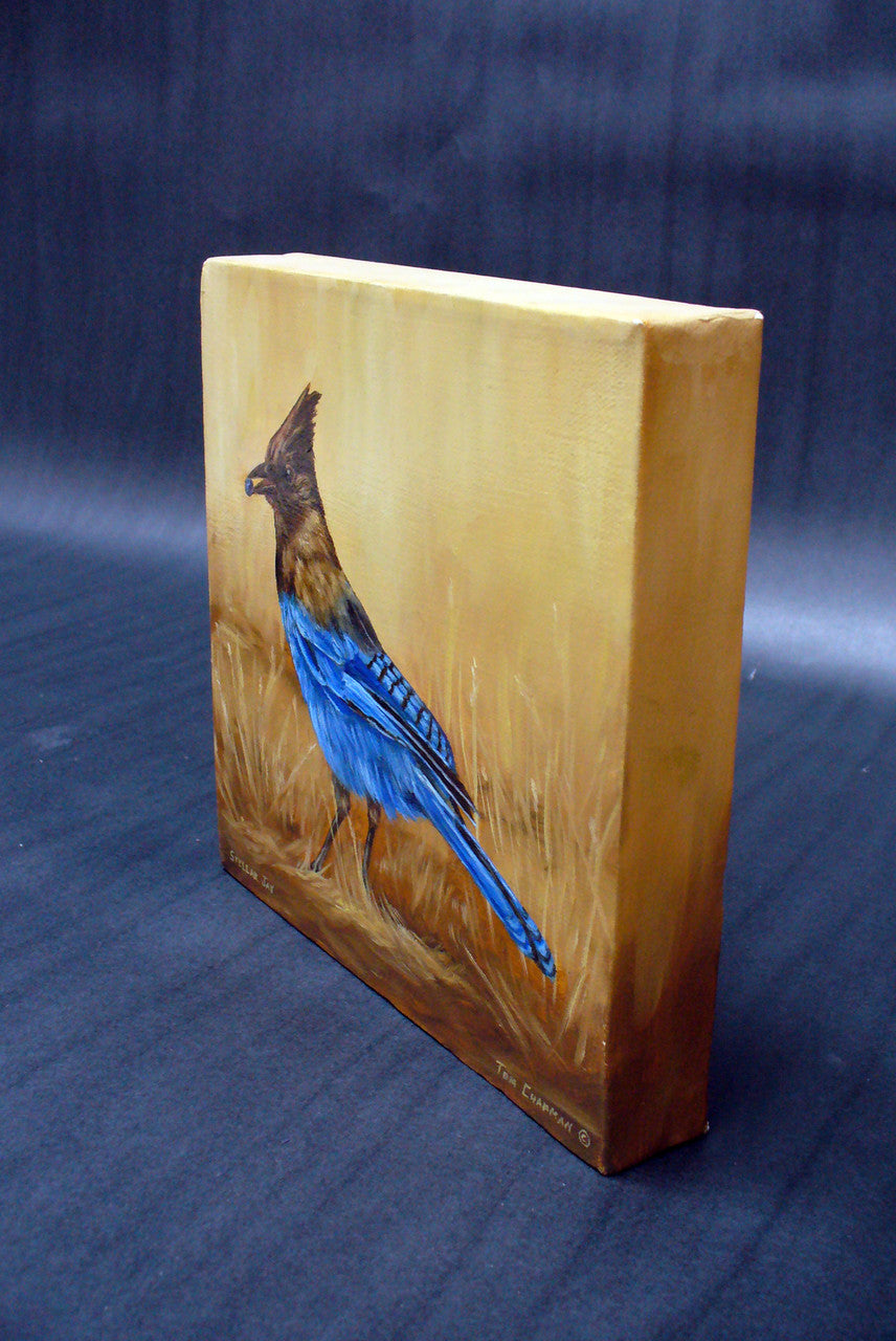 Camp Robber, Stellar's Jay - oil painting on canvas