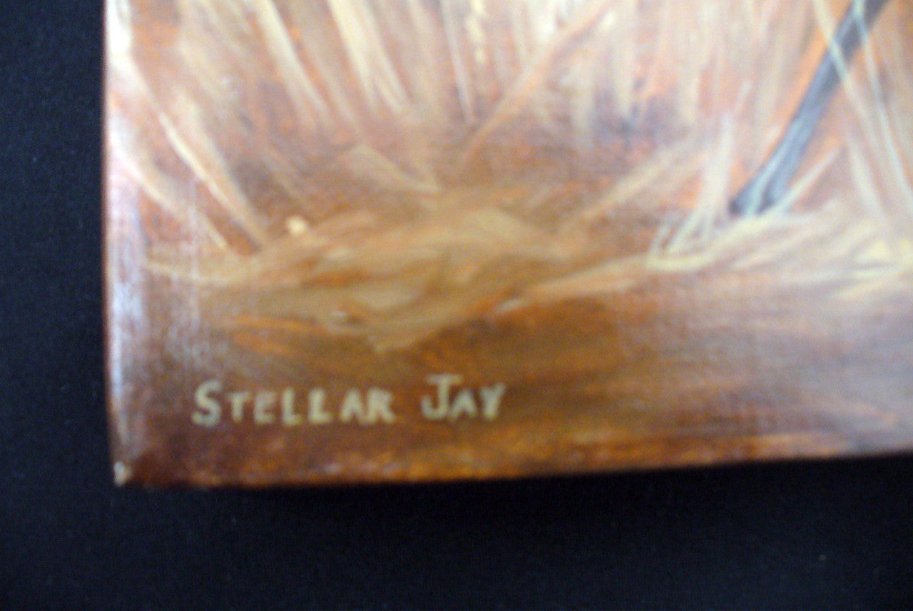 Camp Robber, Stellar's Jay - oil painting on canvas