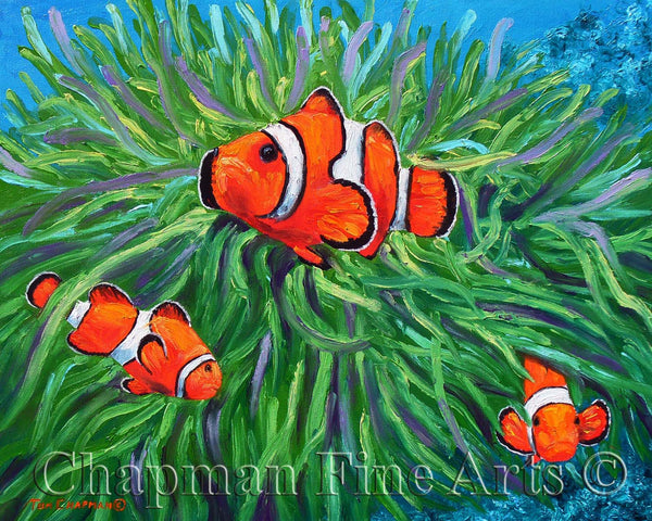 Clown Fish and Sea Anemone