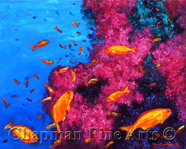 Color Cornucopia