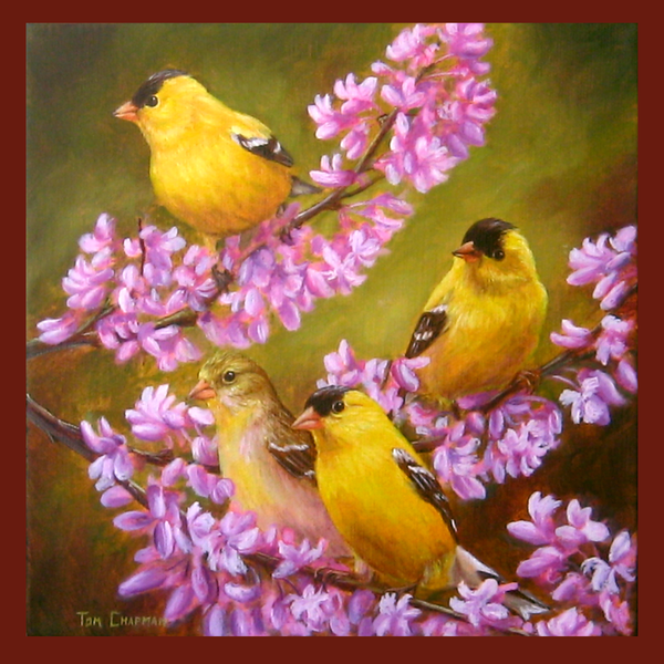 Goldfinches and Cherry Blossoms