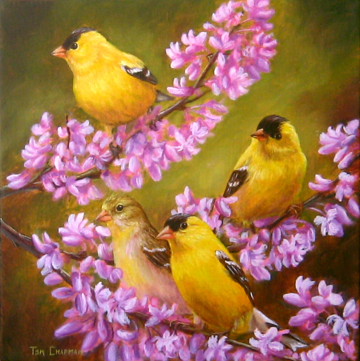 Goldfinches and Cherry Blossoms