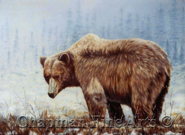 Grizzly is the Bear