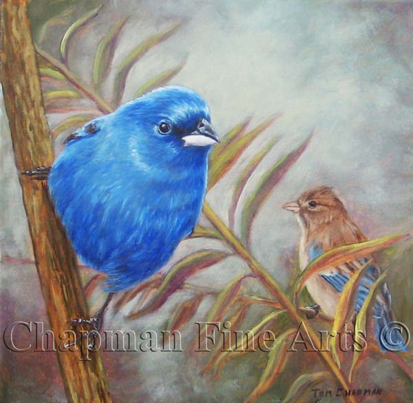 Indigo Buntings, oil painting