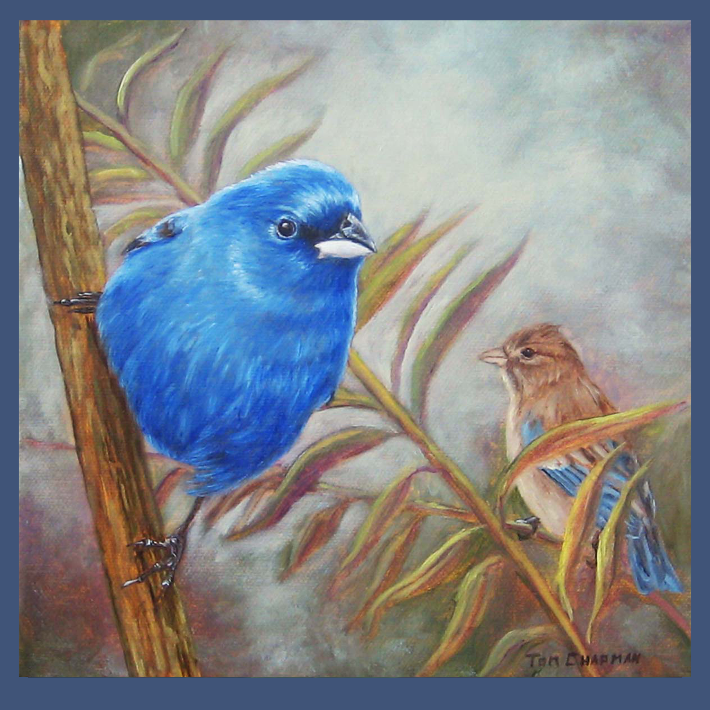 Indigo Buntings, oil painting
