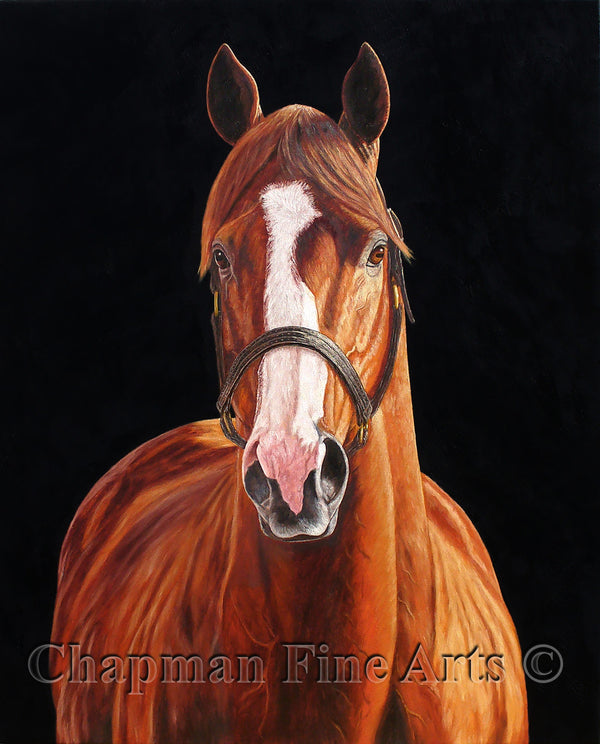 Justify, Triple Crown Winner
