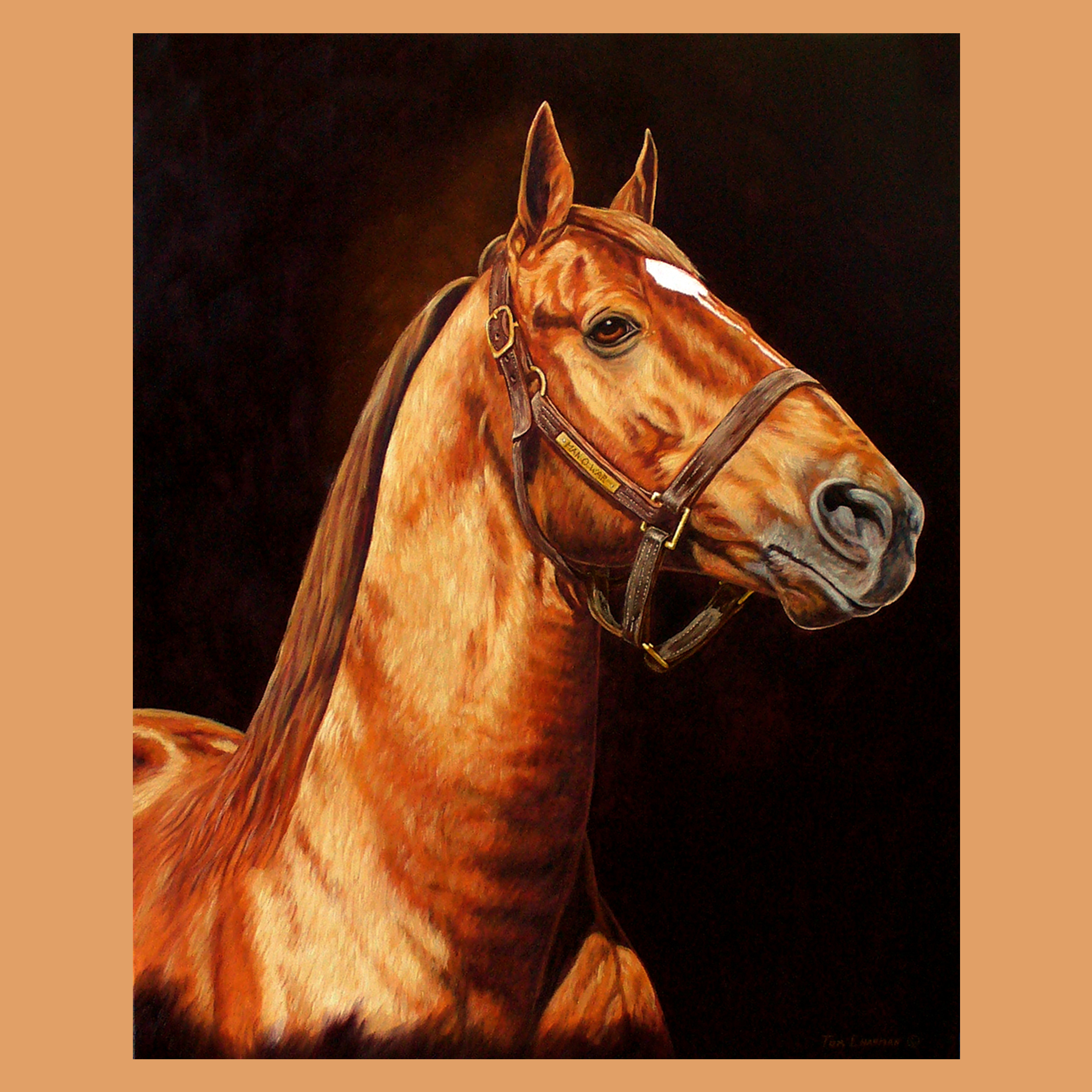 Man O War