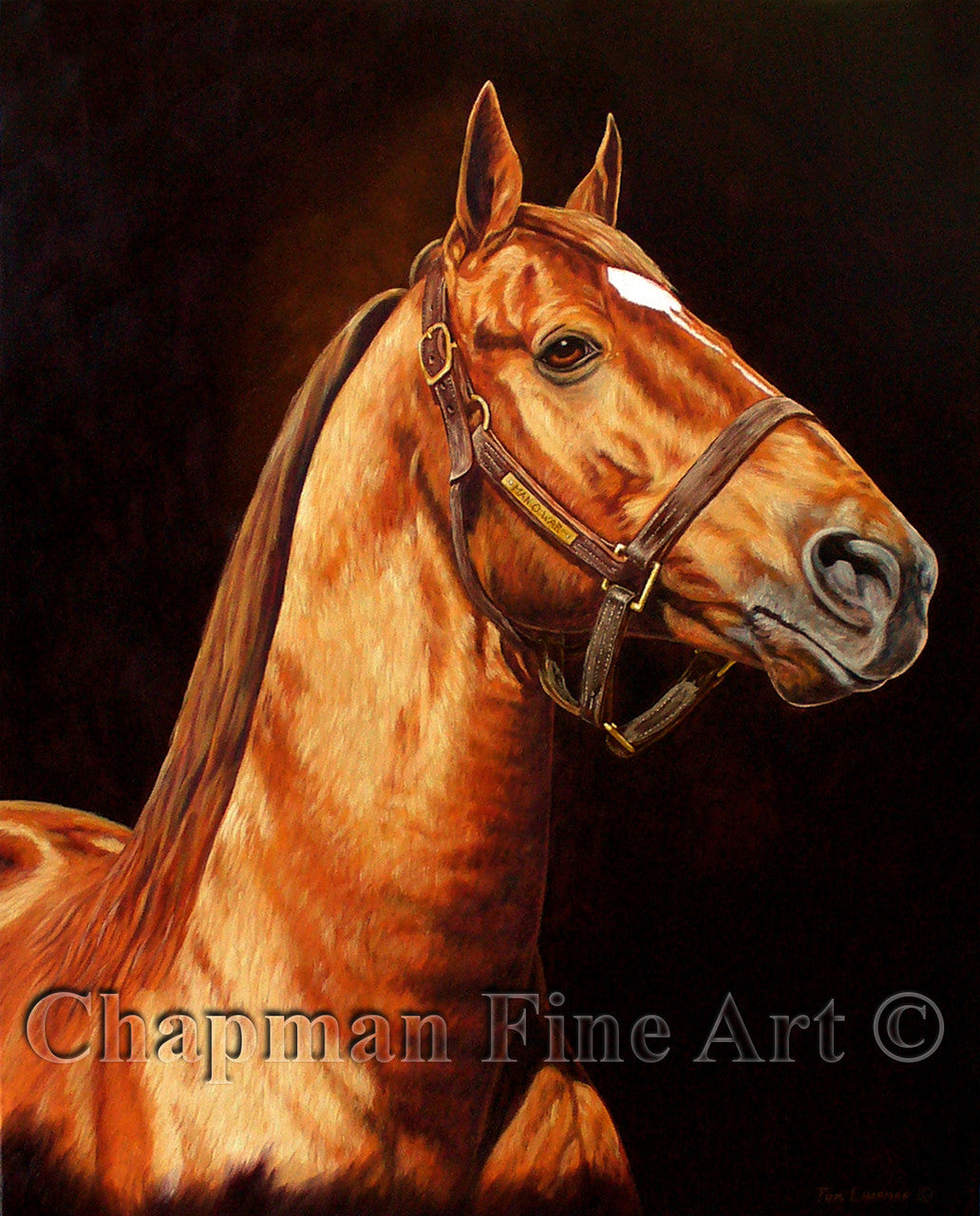 Man O War