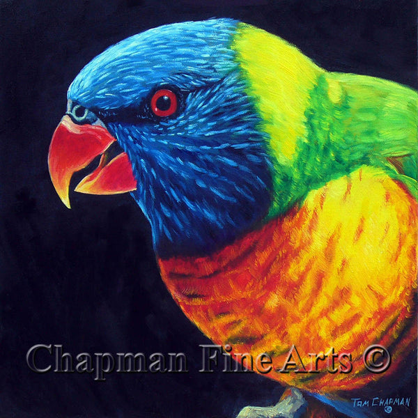 Rainbow Lorikeet