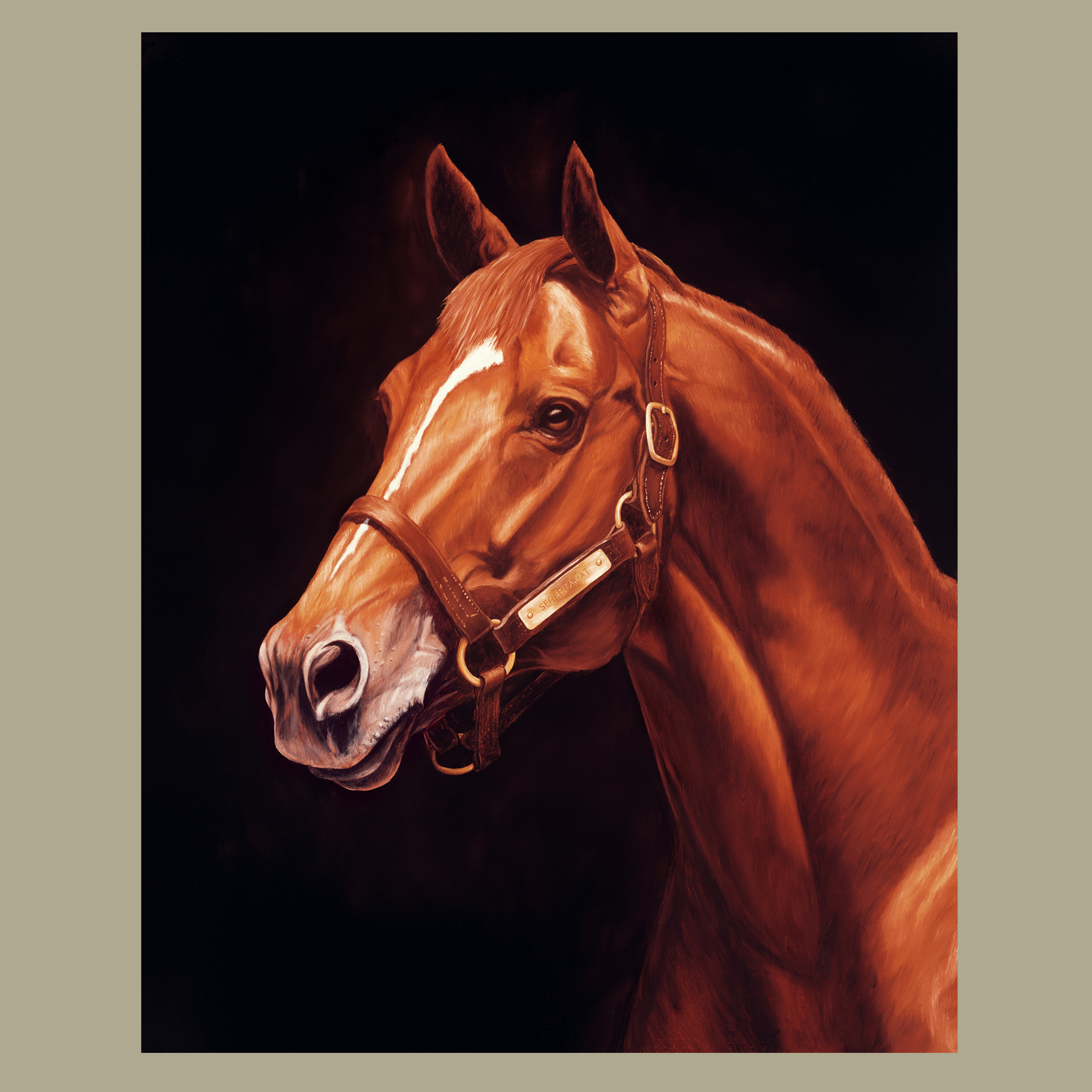 Secretariat - and canvas prints