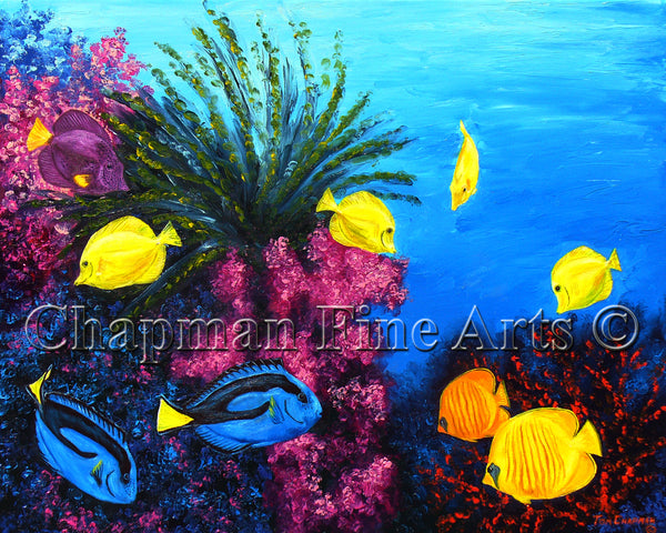 Tropical Reef, Butterflies, and Tangs